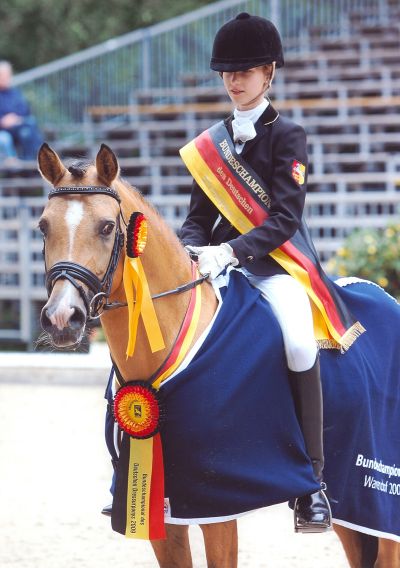 Classic Dancer I von FS Champion de Luxe| Deutscher Reitpony Hengst | Hubert Hemmelgarn